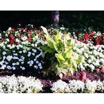 Great Lakes Landscaping, Inc. - Photo 9 - Car repair in Cleveland, OH, Cleveland