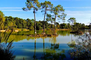 Parc de Monsalut image