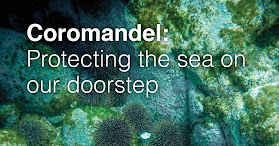 Coromandel Ocean Protection