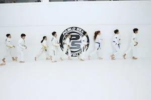 Pablo Silva Brazilian Jiu Jitsu HQ image
