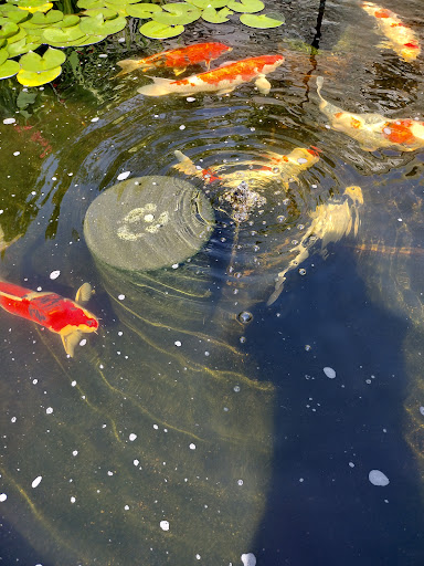 Art Museum «Villa Terrace Decorative Arts Museum», reviews and photos, 2220 N Terrace Ave, Milwaukee, WI 53202, USA