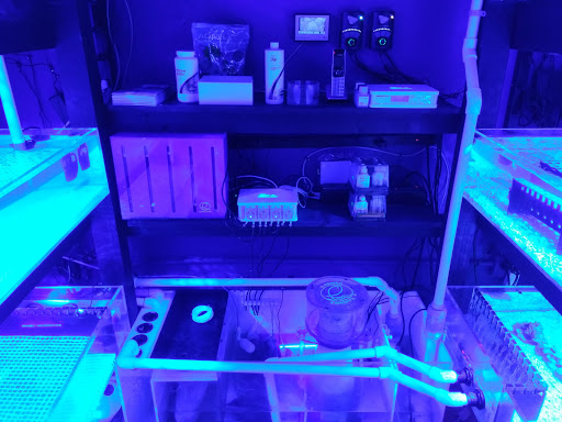 Pet Store «Discount Pets & Supplies», reviews and photos, 211 Hancock Bridge Pkwy, Cape Coral, FL 33990, USA