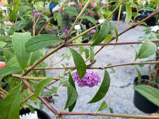 Grocery Store «Bayshore Market», reviews and photos, 5025 Bayshore Blvd, Tampa, FL 33611, USA