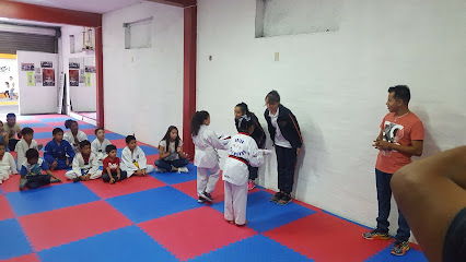 Escuela De Taekwondo Doyang 2 - Calle 2 Pte 112, Centro de la Ciudad, 75700 Tehuacán, Pue., Mexico