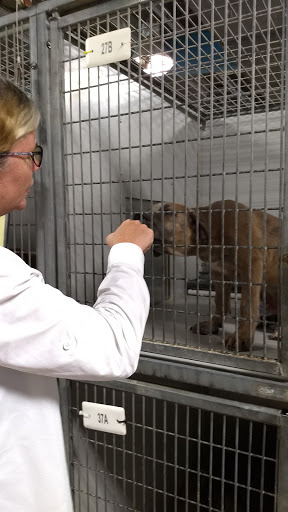 Animal Shelter «KC Pet Project - Main Adoption Center», reviews and photos
