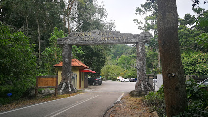 Taman Rimba Cherok Tokun (Hutan Negara)