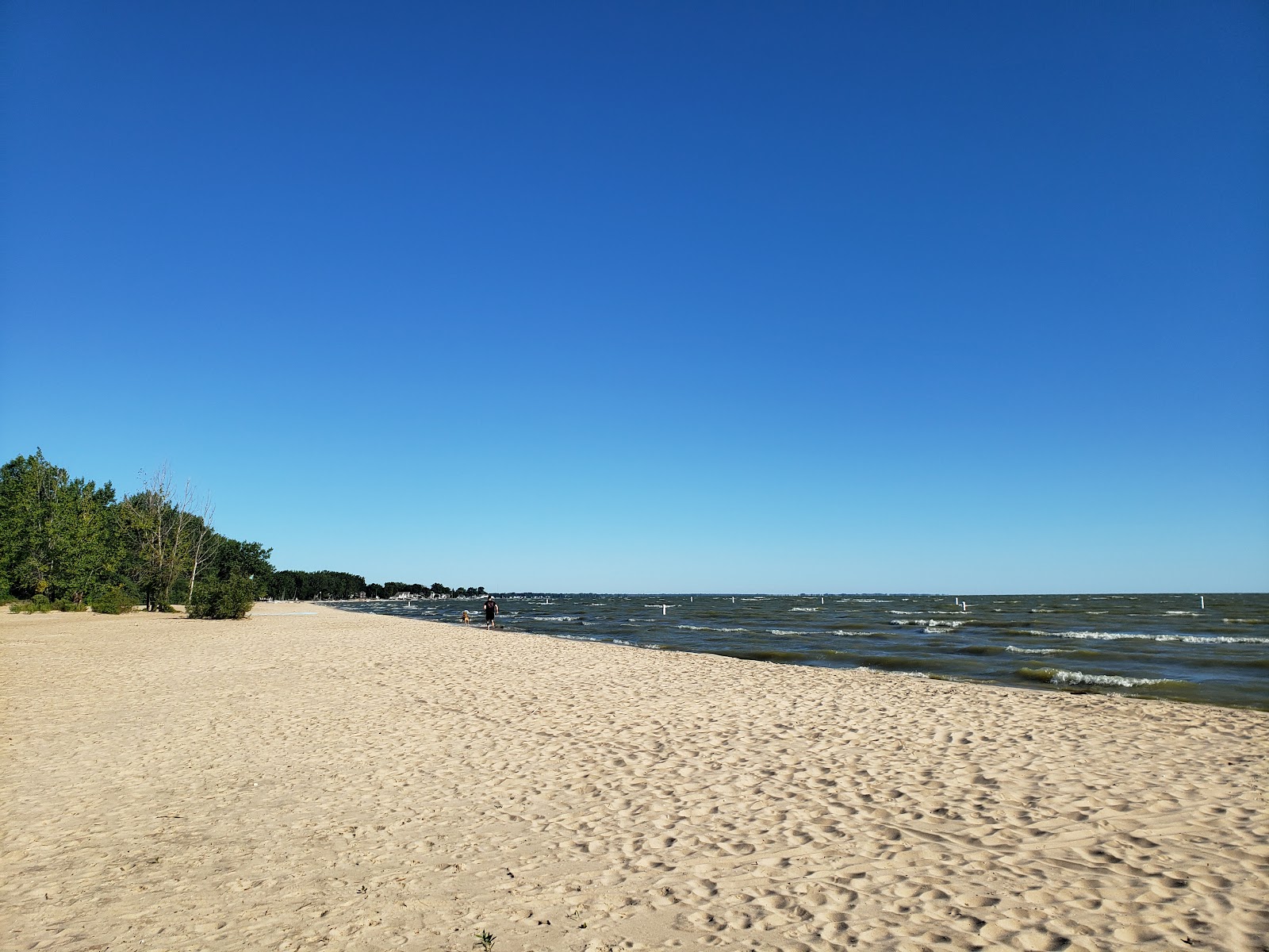 Foto van Bay City State Park Beach met helder zand oppervlakte