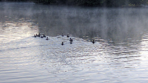Art Museum «The Parthenon», reviews and photos, 2500 West End Ave, Nashville, TN 37203, USA