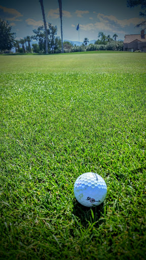 Public Golf Course «Palm Desert Resort Country Club», reviews and photos, 77333 Country Club Dr, Palm Desert, CA 92211, USA