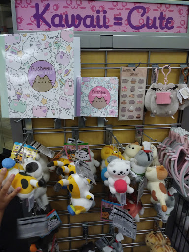 Book Store «Books-A-Million», reviews and photos, 2700 Potomac Mills Cir #115, Woodbridge, VA 22192, USA