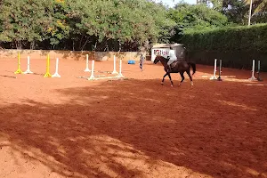 Pony Club De Hann image