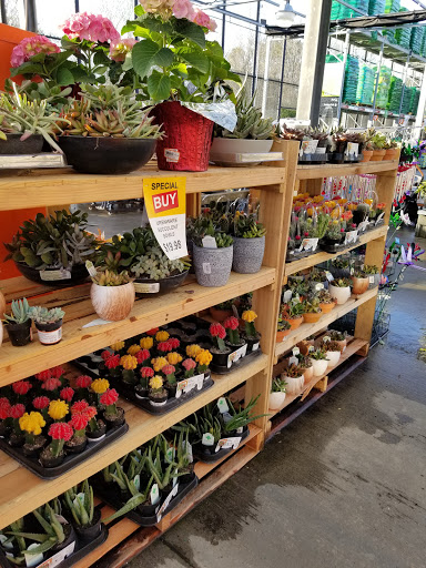 Home Improvement Store «The Home Depot», reviews and photos, 2008 Magwood Dr, Charleston, SC 29414, USA