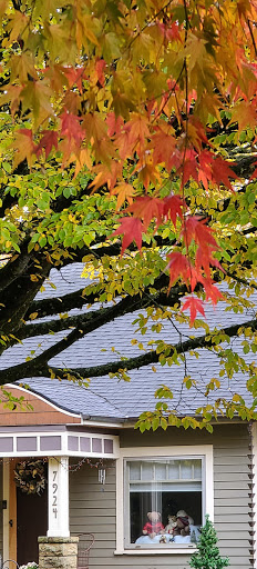 Park «Sellwood Park», reviews and photos, SE Miller St & SE 7th Ave, Portland, OR 97202, USA