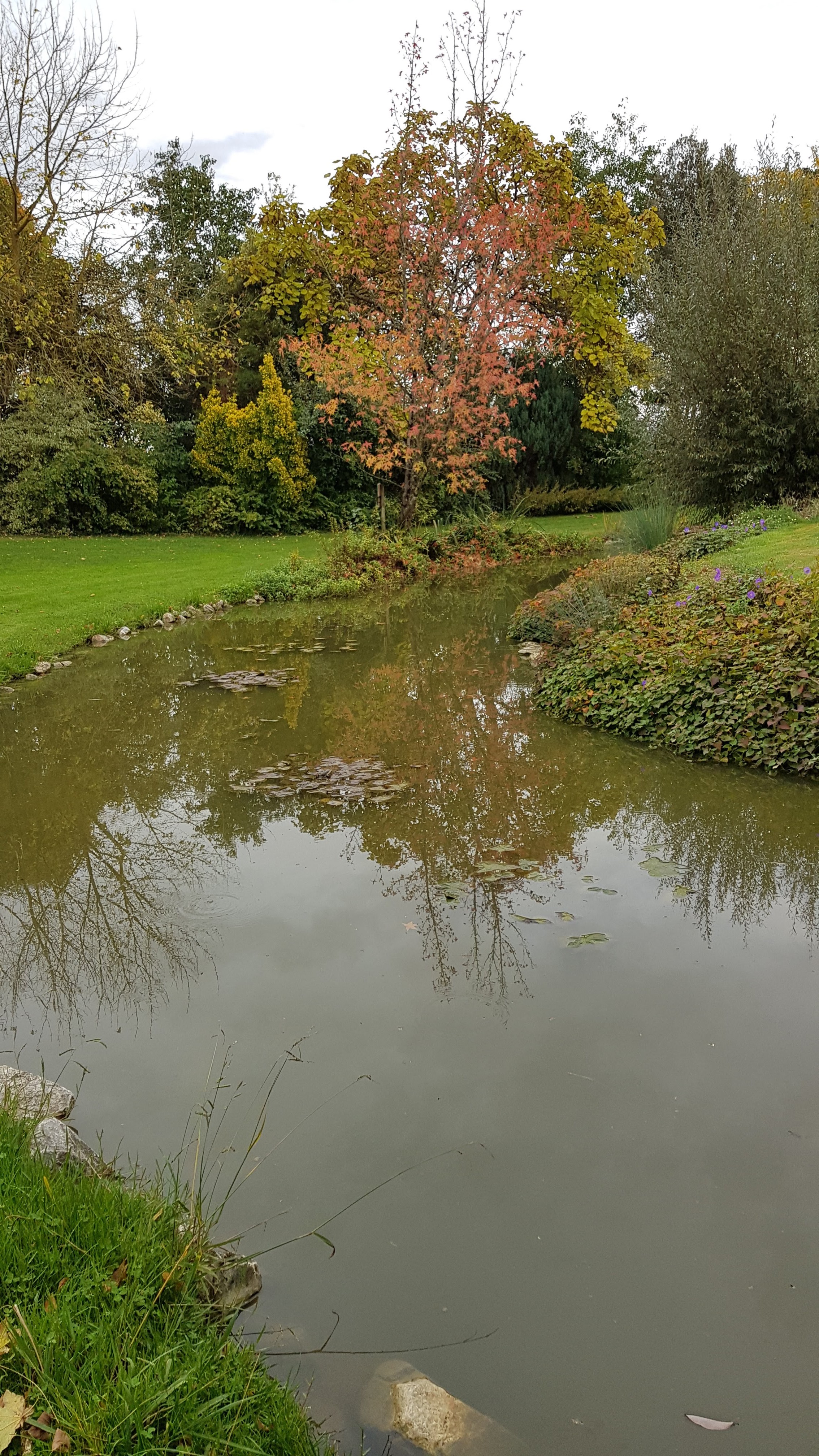 Photo n° 3 de l'avis de Pierre-B..u fait le 28/10/2019 à 07:38