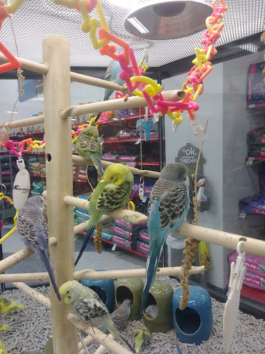 Pet Supply Store «Petco Animal Supplies», reviews and photos, 8100 W Crestline Ave d, Littleton, CO 80123, USA