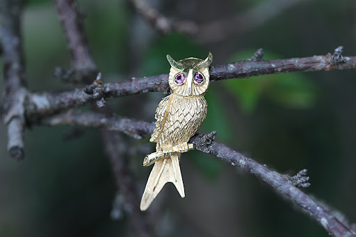 Pawn Shop «Hilltop Pawn Shop», reviews and photos, 1721 Laskin Rd, Virginia Beach, VA 23454, USA