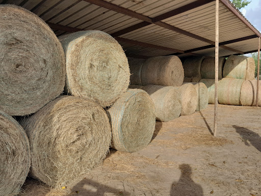 Poultry Farm «R Farm», reviews and photos, 1041 Farm-To-Market 2537, San Antonio, TX 78221, USA