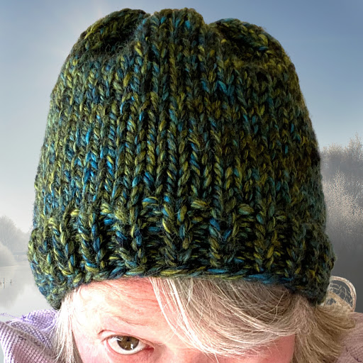 Pet Supply Store «theDogWorks/cats2», reviews and photos, 195 Thurman Ave, Columbus, OH 43206, USA