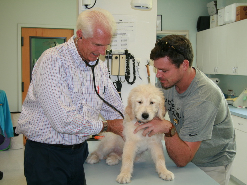 San Pablo Animal Hospital