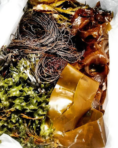 Anmeldelser af Danish Seaweed i Nykøbing Sjælland - Restaurant
