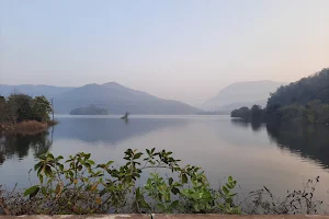 Godavari River image