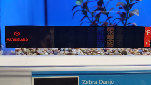 Pet Supply Store «Pet Supplies Plus», reviews and photos, 305 Sidney Baker St S #400, Kerrville, TX 78028, USA