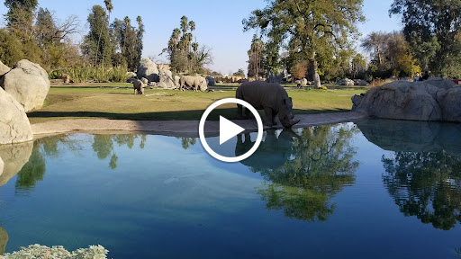 Fresno Chaffee Zoo image