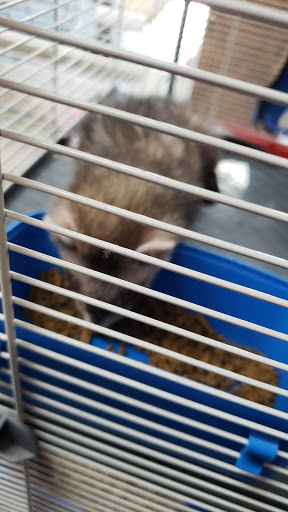 Pet Store «V.I. Pets», reviews and photos, 11975 E Lakewood Blvd, Holland, MI 49424, USA