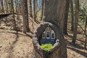 Tiny Door @ Swan House image