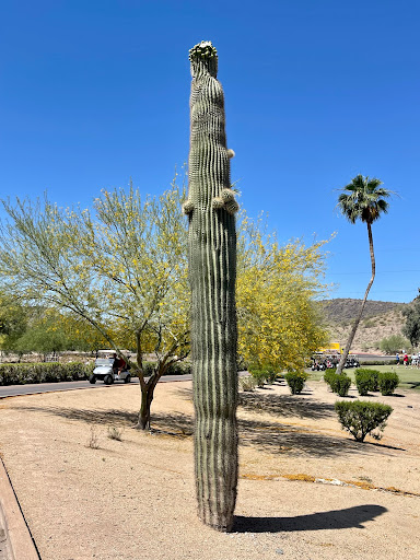 Golf Club «Lookout Mountain Golf Club», reviews and photos, 11111 N 7th St, Phoenix, AZ 85020, USA