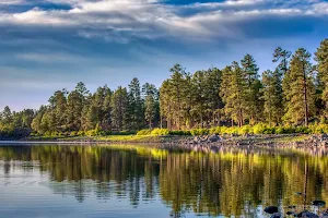 Sitgreaves National Forest image