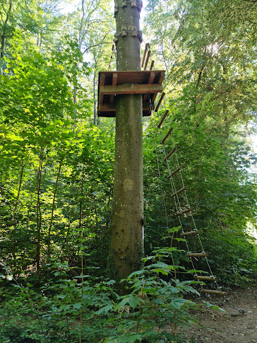 Rezensionen über Erlebniskletterwald Lörrach GbR (Reservierung erforderlich unter www.erlebniskletterwald.de/online-reservierung/) in Allschwil - Fitnessstudio