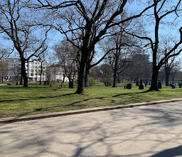 Alter St.-Nikolai-Friedhof photo