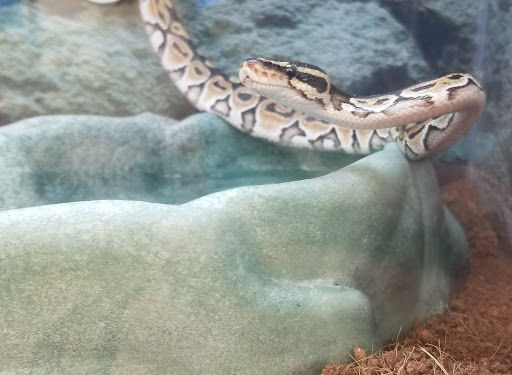 Pet Supply Store «Petco Animal Supplies», reviews and photos, 12444 NW 10th St #301, Yukon, OK 73099, USA