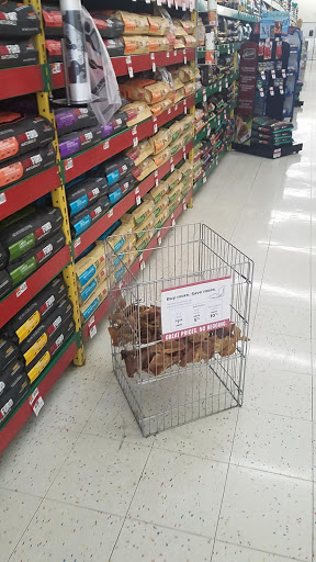 Pet Supply Store «Pet Supplies Plus», reviews and photos, 1262 OH-303, Streetsboro, OH 44241, USA