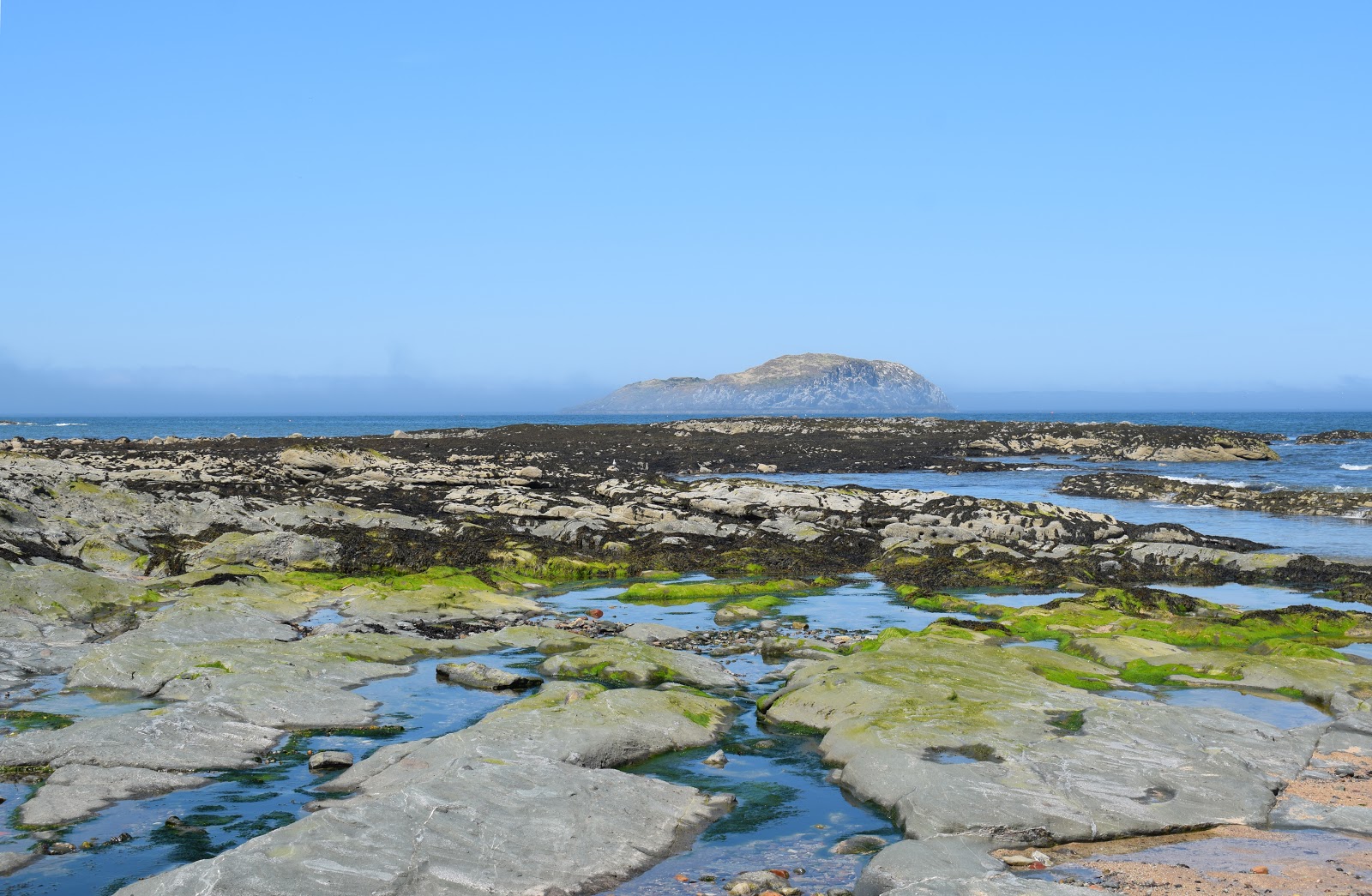 Photo of Haugh Road Beach wild area