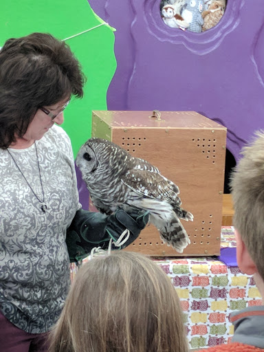 Gift Shop «The Hoot», reviews and photos, 86 Storrs Rd, Willimantic, CT 06226, USA