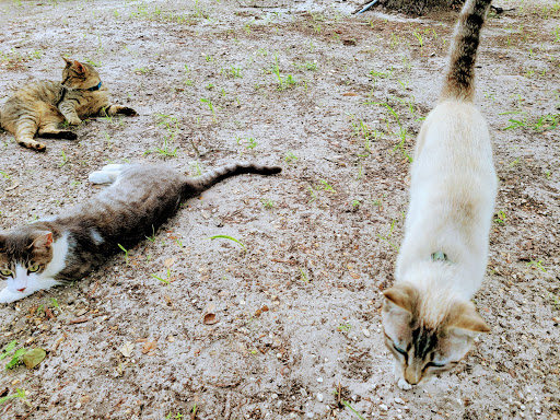 Kennel «Sandy Oaks Kennel, Daycare and Spaw», reviews and photos, 146 Lamar Dr, Rockport, TX 78382, USA