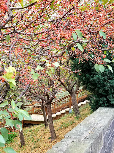 Art Museum «Villa Terrace Decorative Arts Museum», reviews and photos, 2220 N Terrace Ave, Milwaukee, WI 53202, USA