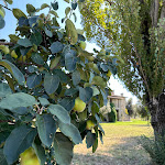 Photo n°10 de l'avis de Sari.i fait le 10/09/2023 à 16:27 sur le  Valle di Assisi Spa & Golf à Santa Maria degli Angeli