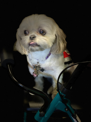 Movie Theater «Park Plaza Cinema», reviews and photos, 33 Office Park Rd #201, Hilton Head Island, SC 29928, USA