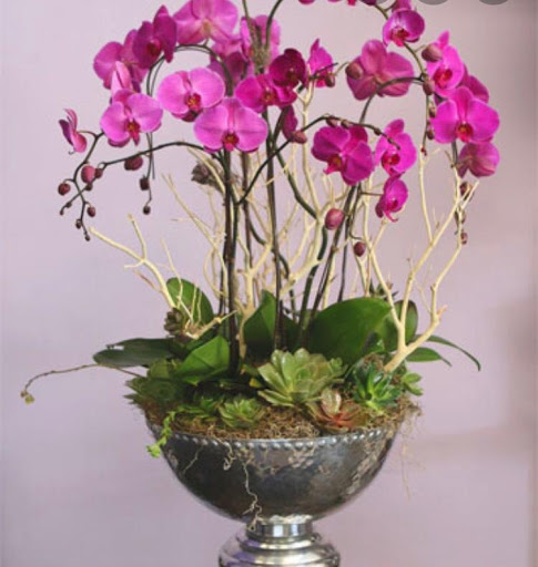 Florist «Houstonian Flowery», reviews and photos, 867 Dairy Ashford Rd, Houston, TX 77079, USA