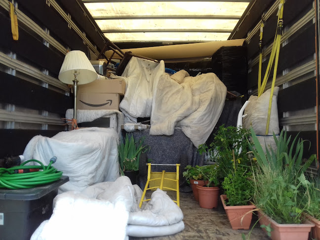 Reviews of Easy Removals Hull in Hull - Moving company