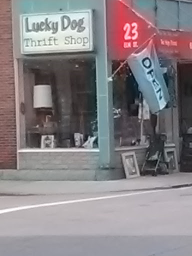 Thrift Store «Lucky Dog Thrift Shop», reviews and photos, 23 Elm St, Nashua, NH 03060, USA