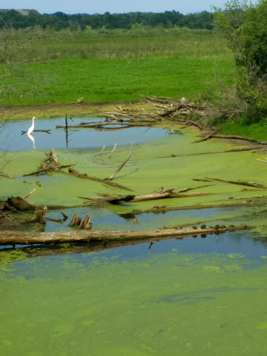 Nature Preserve «Volo Bog», reviews and photos, 28478 W Brandenburg Rd, Ingleside, IL 60041, USA