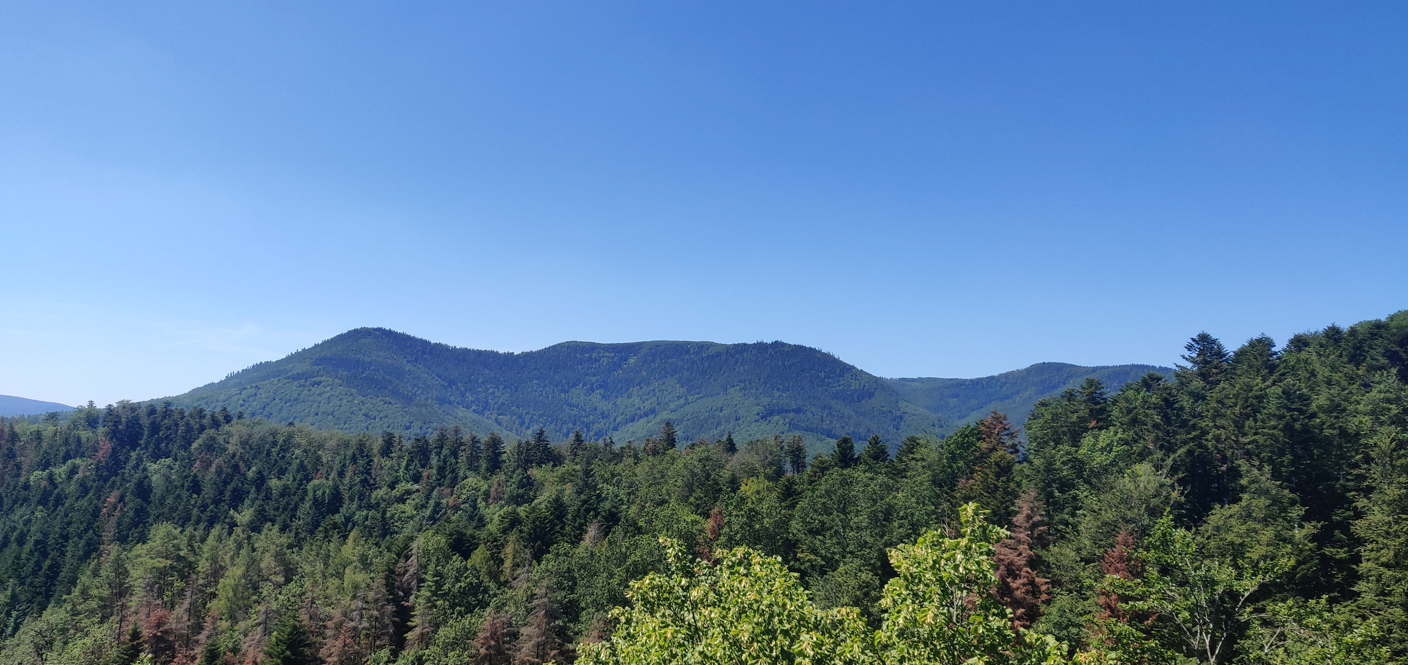 Photo n° 1 de l'avis de Amélie.o fait le 07/07/2019 à 07:13