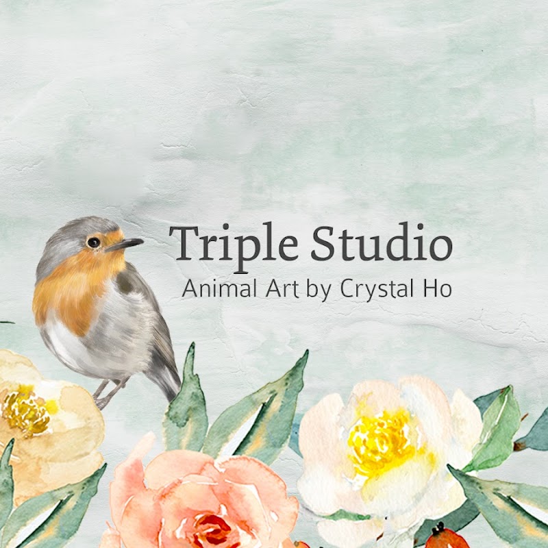 Triple Studio