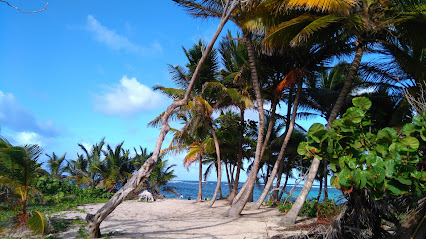 Ti Vacances - Vos Vacances à Sainte Anne en Martinique Sainte-Anne