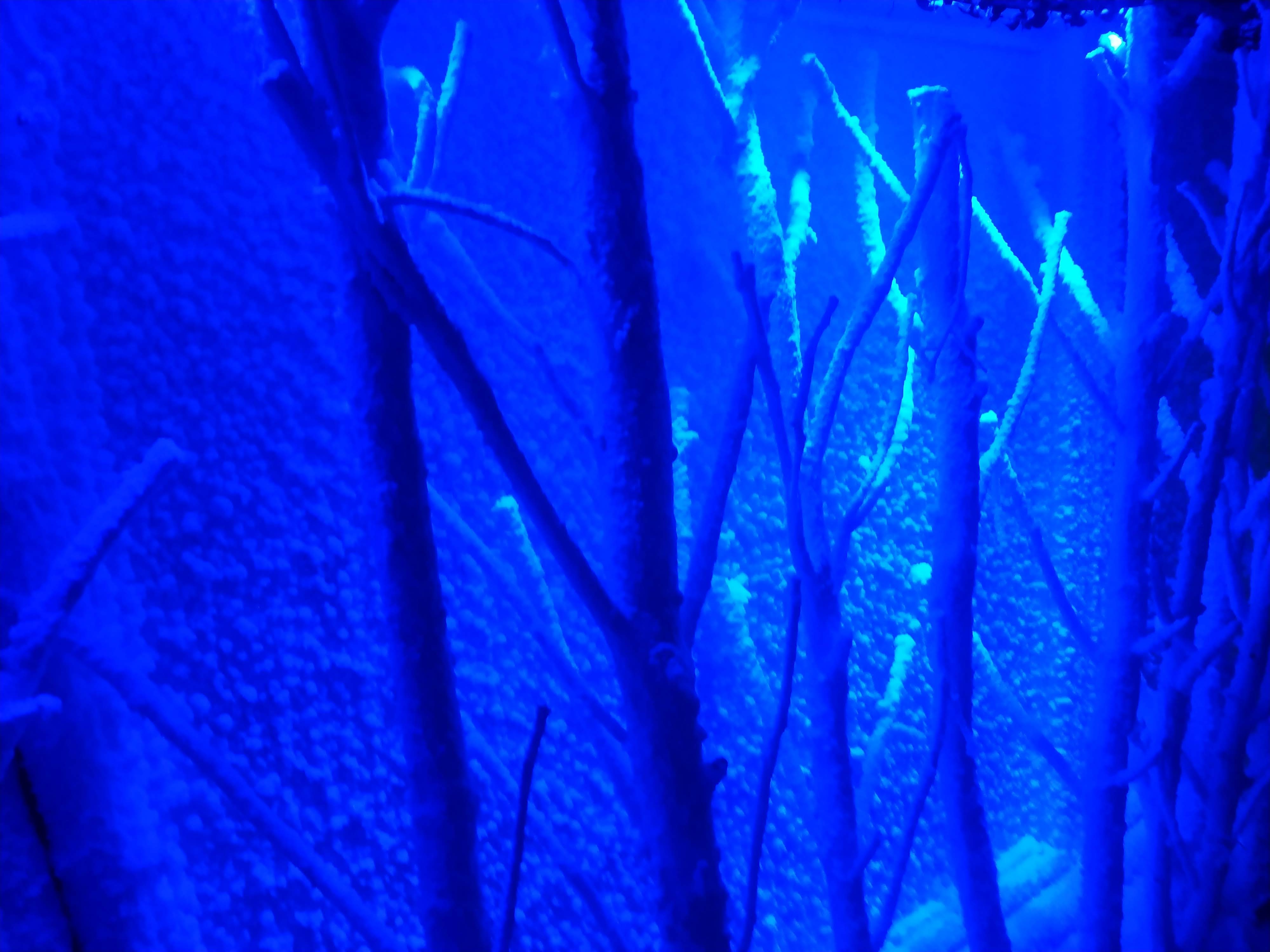 Photo n° 1 de l'avis de Xavier.u fait le 04/01/2019 à 19:54