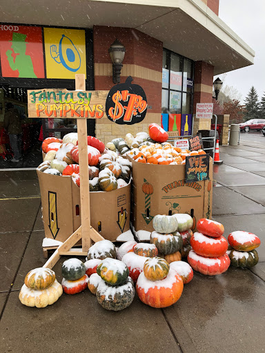 Shopping Mall «Woodbury Lakes», reviews and photos, 9020 Hudson Rd # 401, St Paul, MN 55125, USA